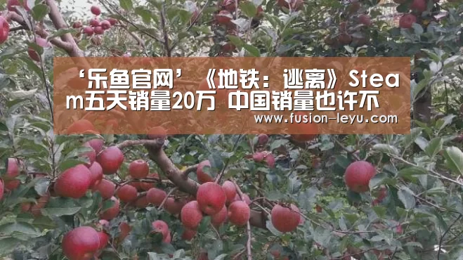 ‘乐鱼官网’《地铁:逃离》Steam五天销量20万 中国销量也许不错(图2) ‘乐鱼官网’《地铁:逃离》Steam五天销量20万 中国销量也许不错(图2)
