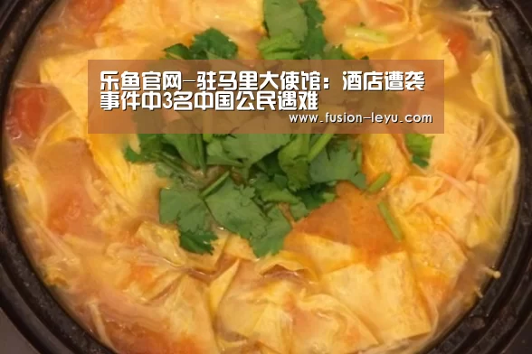 乐鱼官网-驻马里大使馆:酒店遭袭事件中3名中国公民遇难(图4) 乐鱼官网-驻马里大使馆:酒店遭袭事件中3名中国公民遇难(图4)