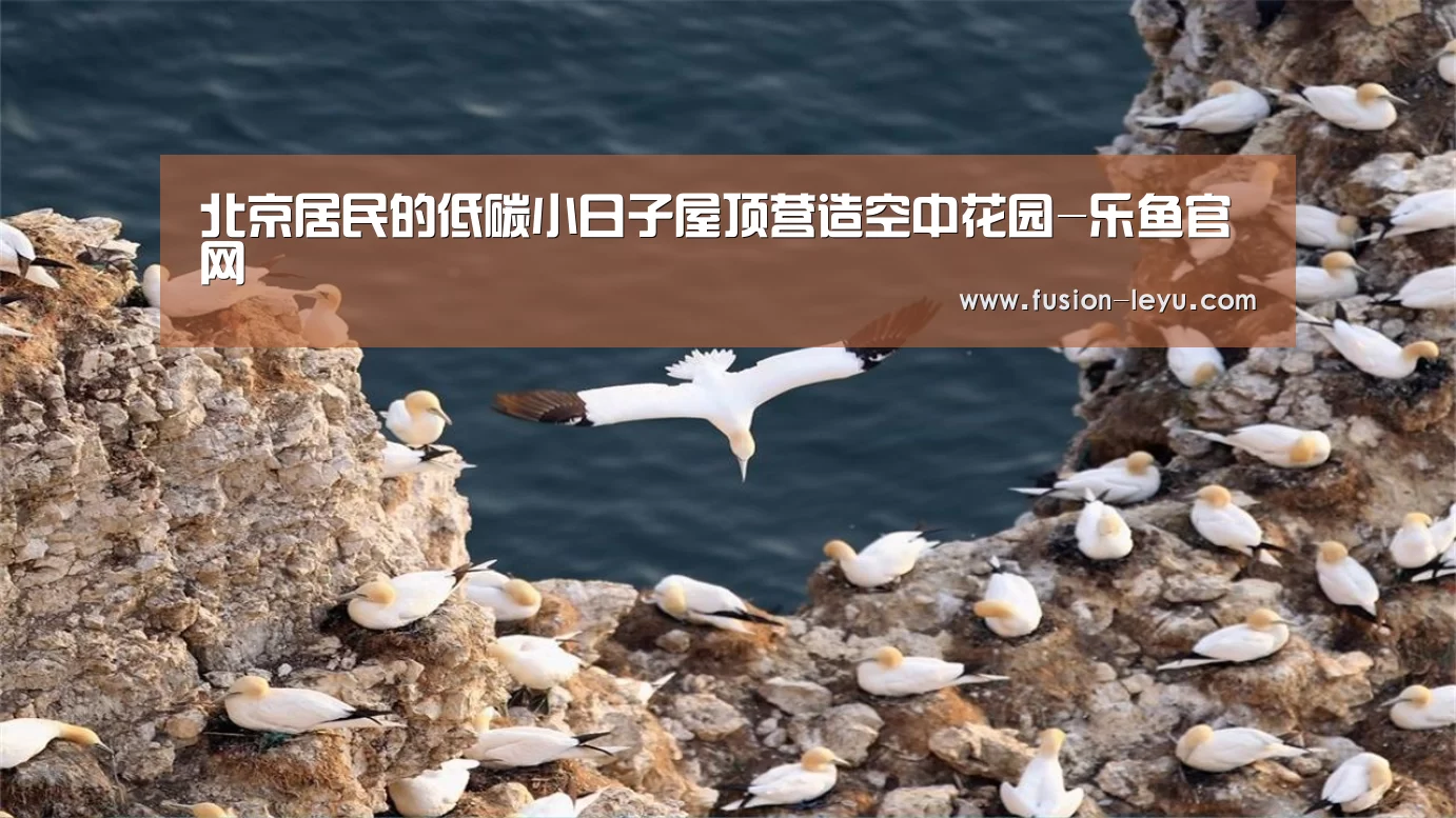北京居民的低碳小日子屋顶营造空中花园-乐鱼官网(图1) 乐鱼体育