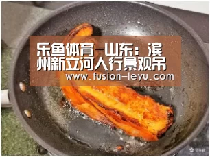 乐鱼体育-山东:滨州新立河人行景观吊桥将完工(图1) 乐鱼体育-山东:滨州新立河人行景观吊桥将完工(图1)